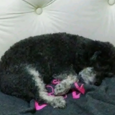 Lucy